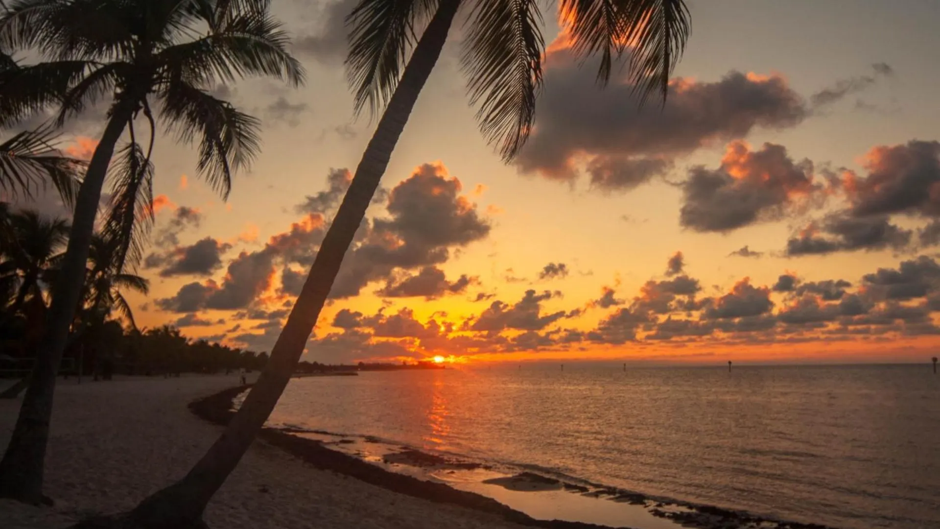 Truman Key West United States